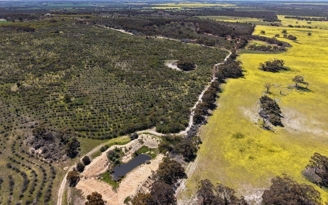 184 Ewert Road, Morbinning, WA, 6304 - Image 31