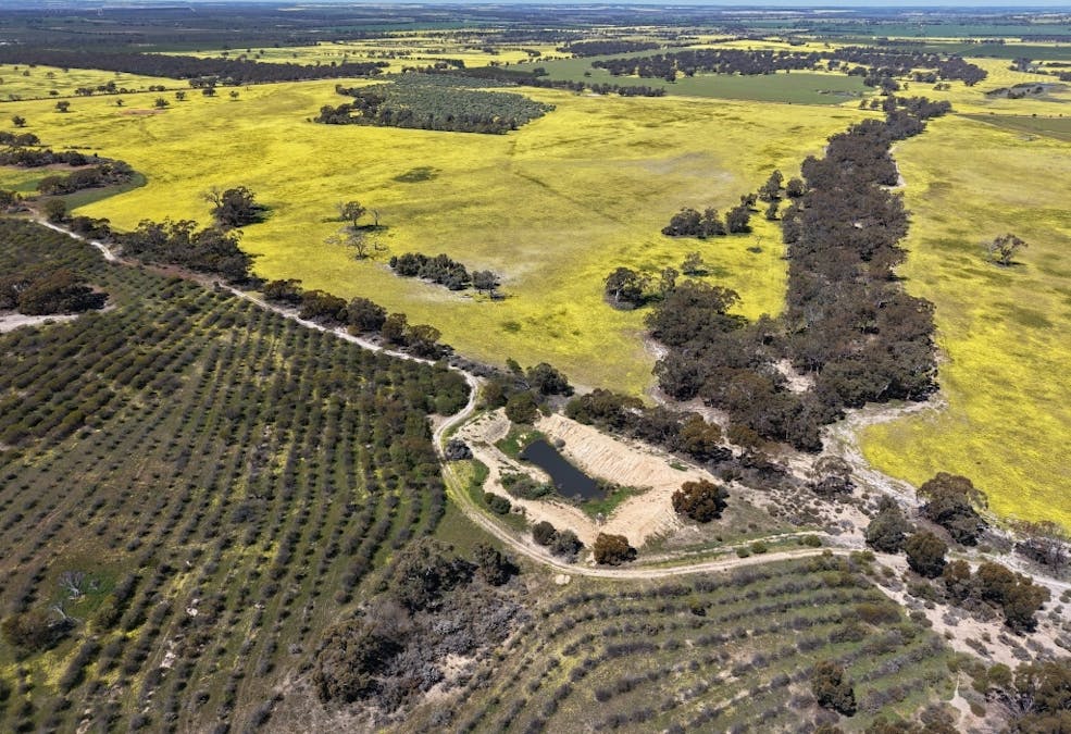 184 Ewert Road, Morbinning, WA, 6304 - Image 6