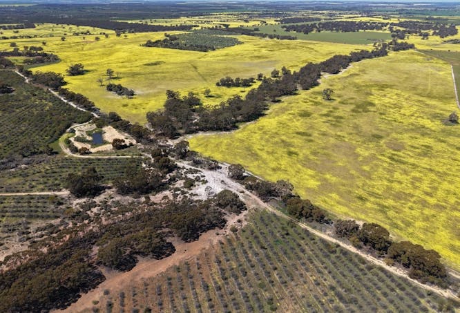 184 Ewert Road, Morbinning, WA, 6304 - Image 1