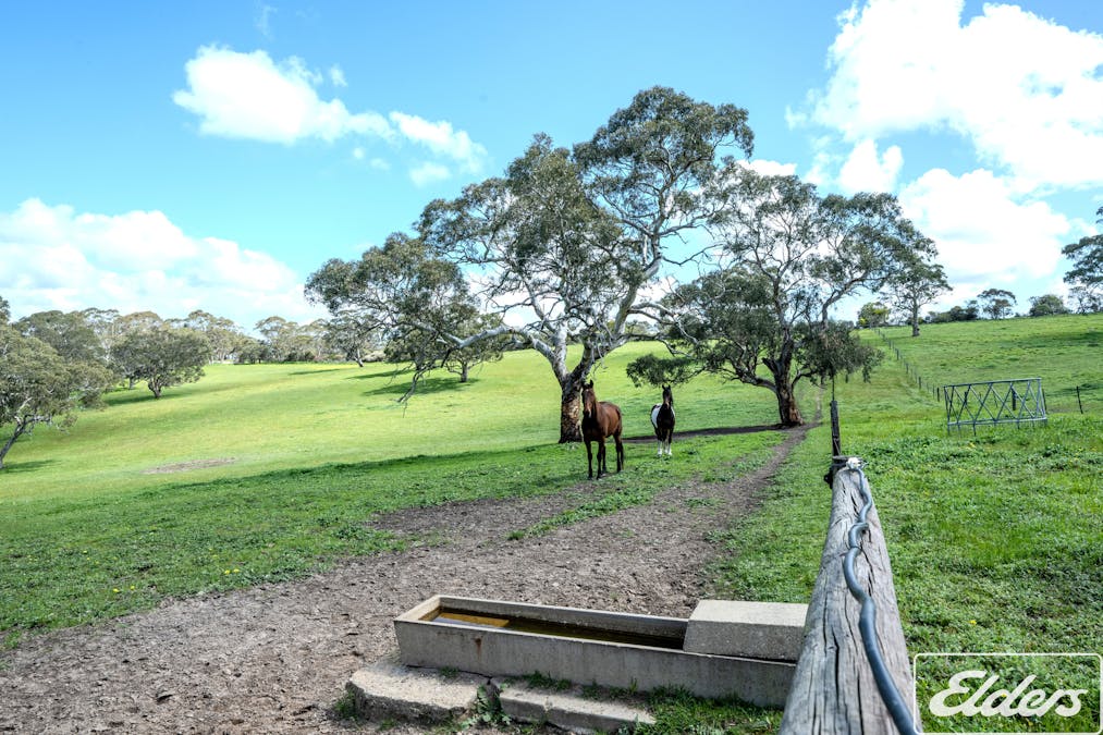 413 Gemmell Road, Gemmells, SA, 5255 - Image 22