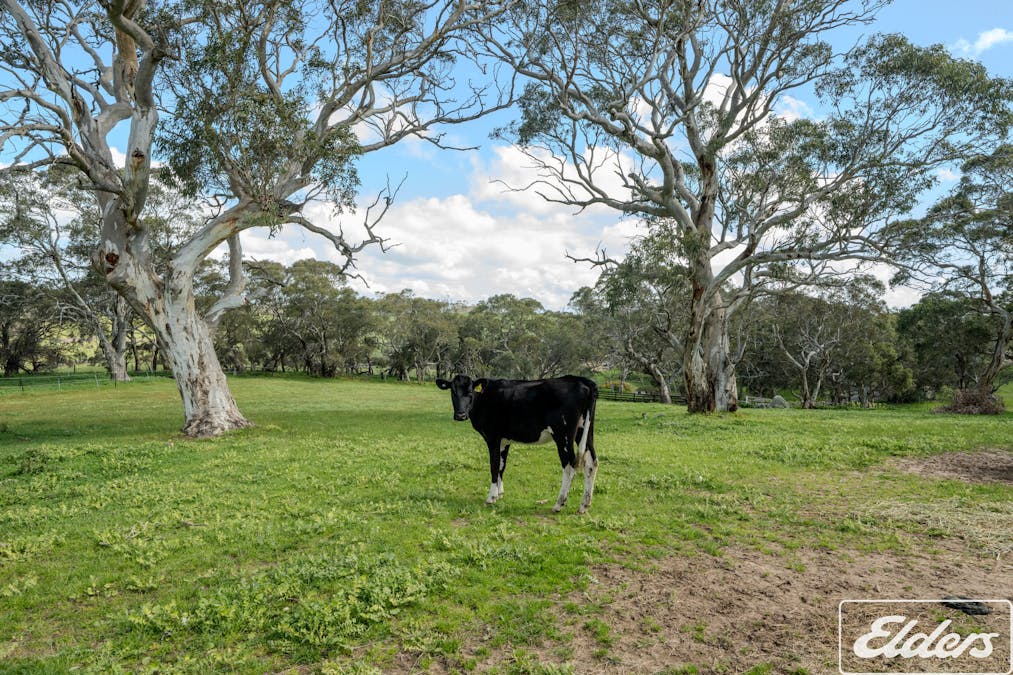 413 Gemmell Road, Gemmells, SA, 5255 - Image 23
