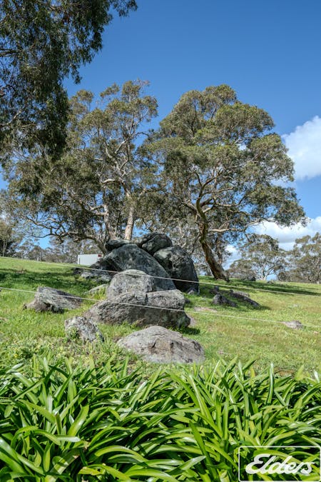 413 Gemmell Road, Gemmells, SA, 5255 - Image 34