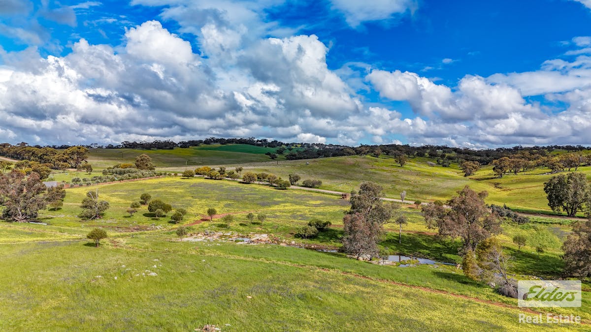 205/Dumbarton Road, Dumbarton, WA, 6566 - Image 1