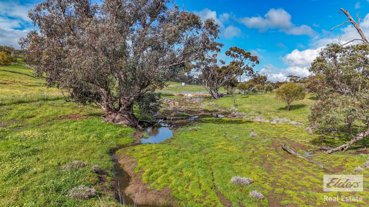 205/Dumbarton Road, Dumbarton, WA, 6566 - Image 8