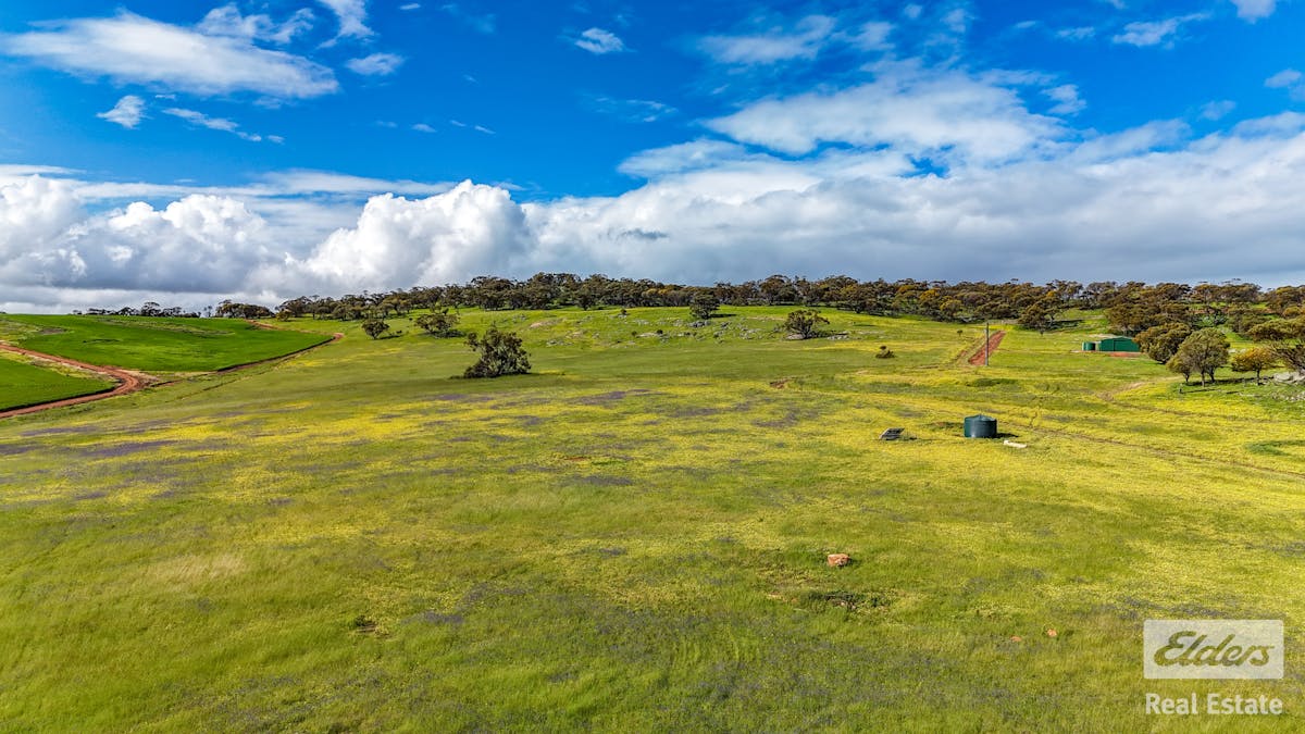 205/Dumbarton Road, Dumbarton, WA, 6566 - Image 10