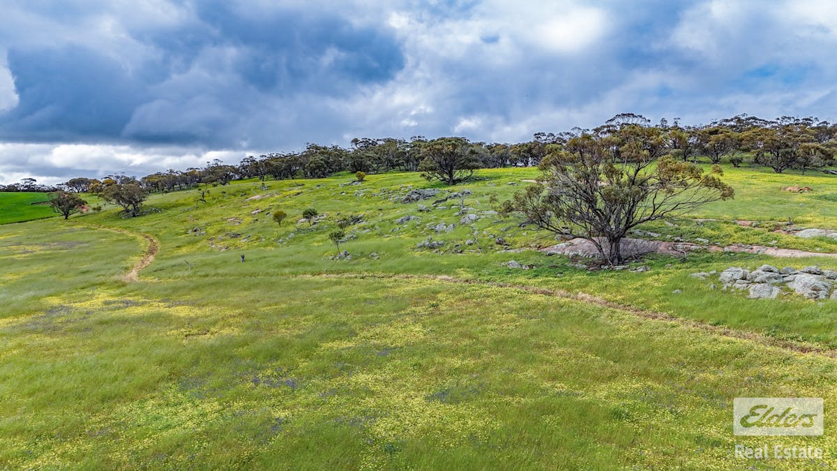 205/Dumbarton Road, Dumbarton, WA, 6566 - Image 11