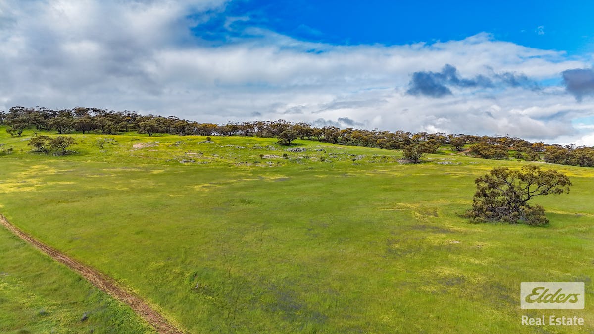 205/Dumbarton Road, Dumbarton, WA, 6566 - Image 12