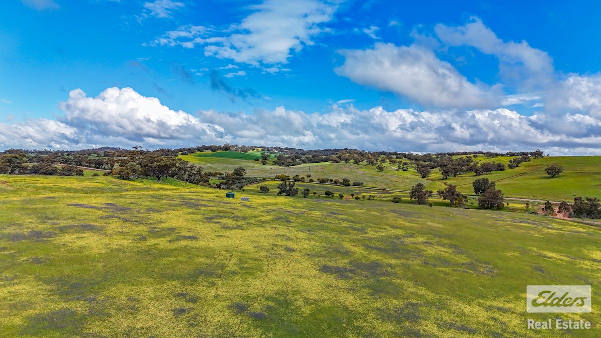 205/Dumbarton Road, Dumbarton, WA, 6566 - Image 13