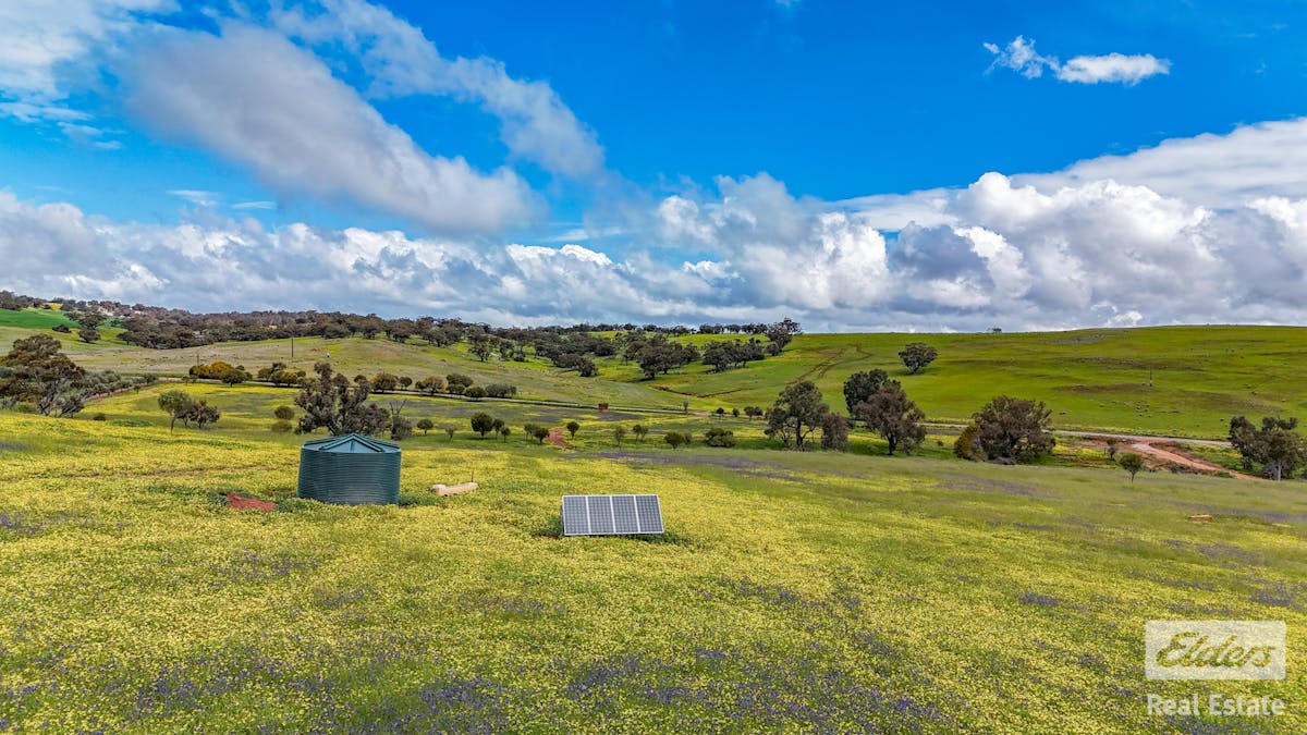 205/Dumbarton Road, Dumbarton, WA, 6566 - Image 14