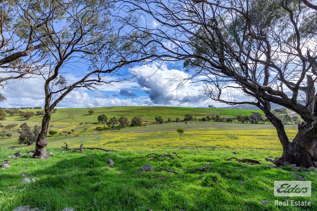 205/Dumbarton Road, Dumbarton, WA, 6566 - Image 17