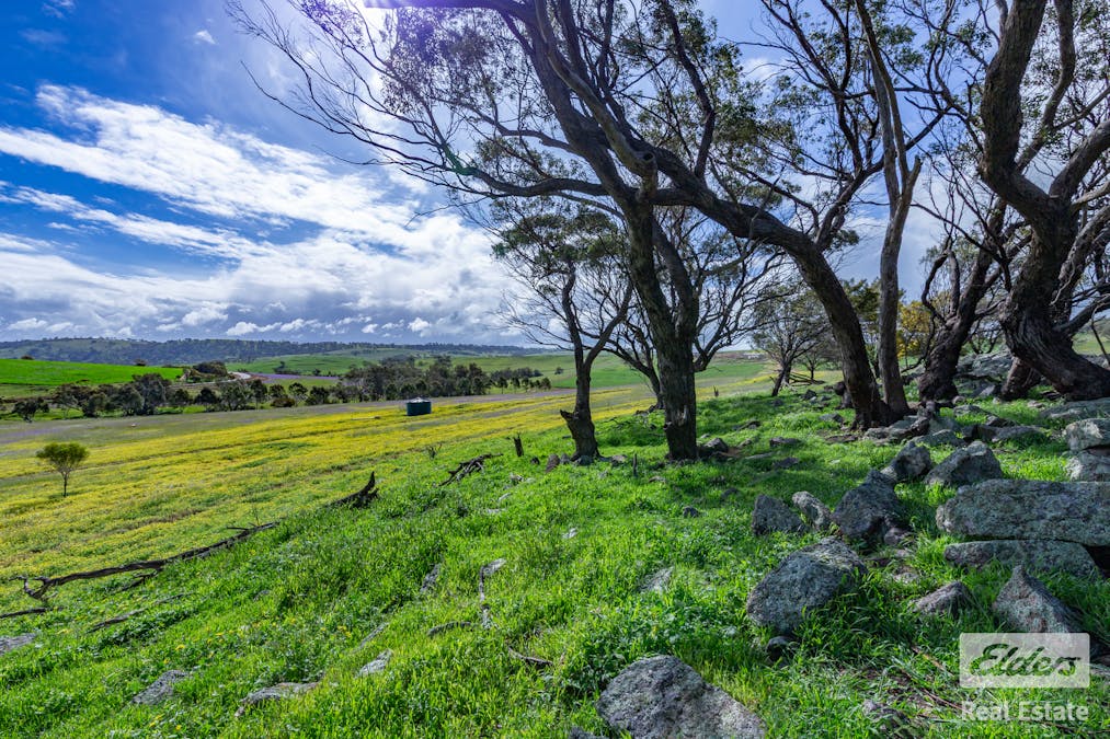 205/Dumbarton Road, Dumbarton, WA, 6566 - Image 19