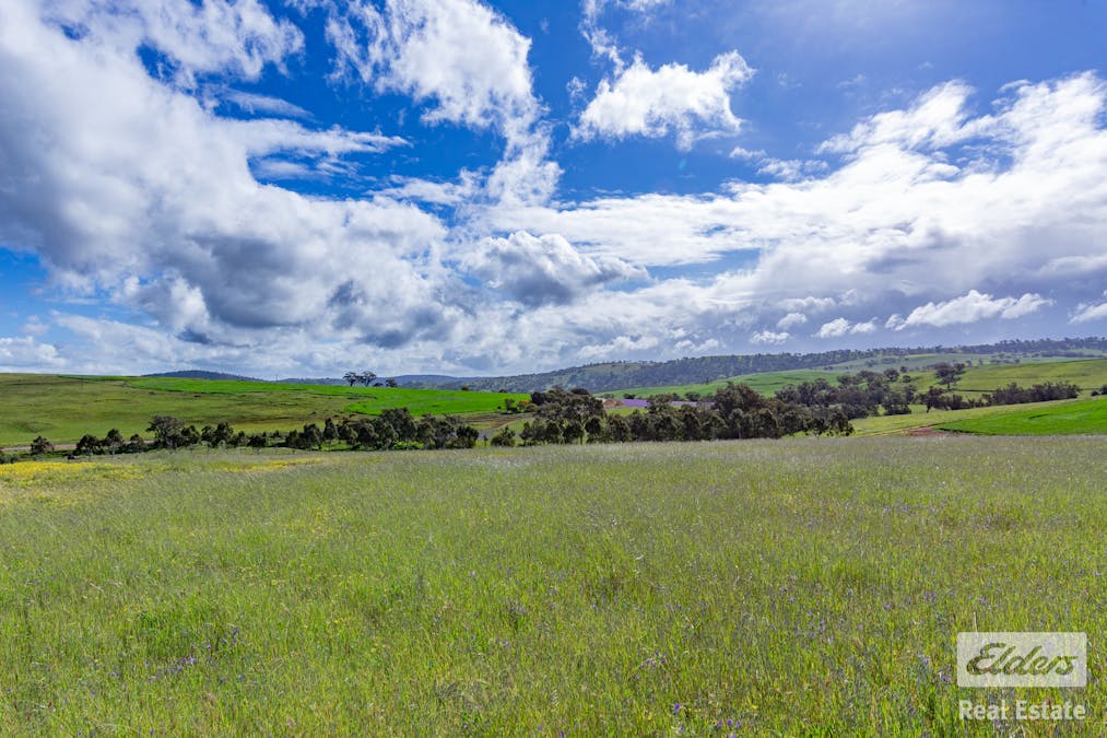 205/Dumbarton Road, Dumbarton, WA, 6566 - Image 22