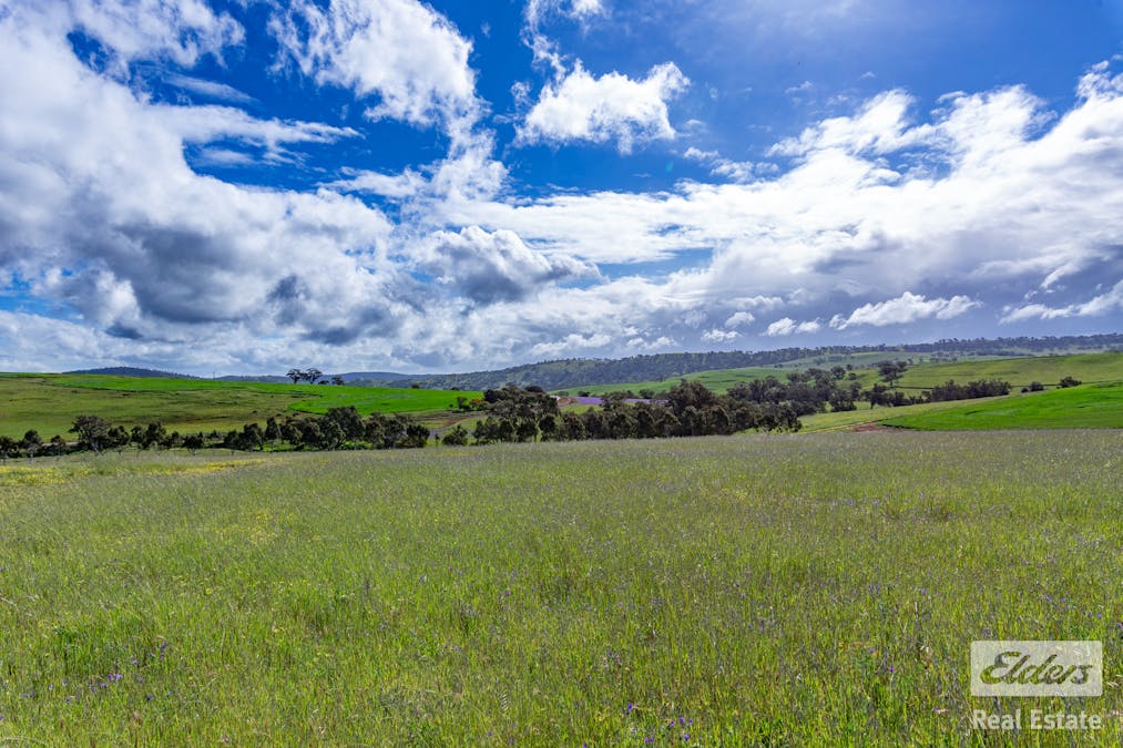 205/Dumbarton Road, Dumbarton, WA, 6566 - Image 23