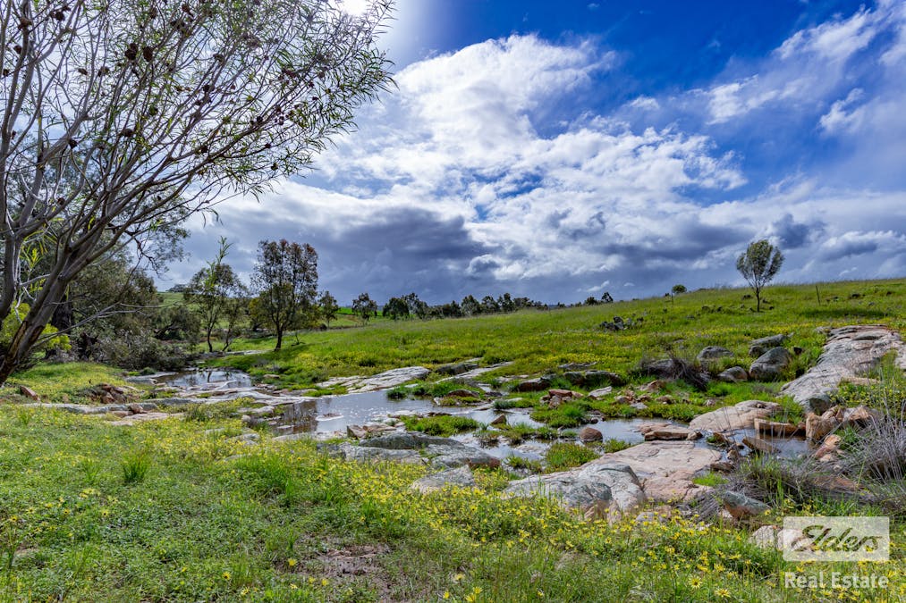 205/Dumbarton Road, Dumbarton, WA, 6566 - Image 24
