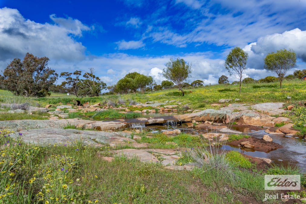 205/Dumbarton Road, Dumbarton, WA, 6566 - Image 25