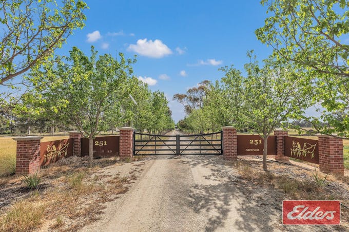251 O'Dwyer Road, Wharparilla, VIC, 3564 - Image 1