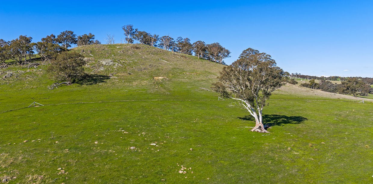1432 Lachlan Valley Way, Laverstock, NSW, 2582 - Image 7