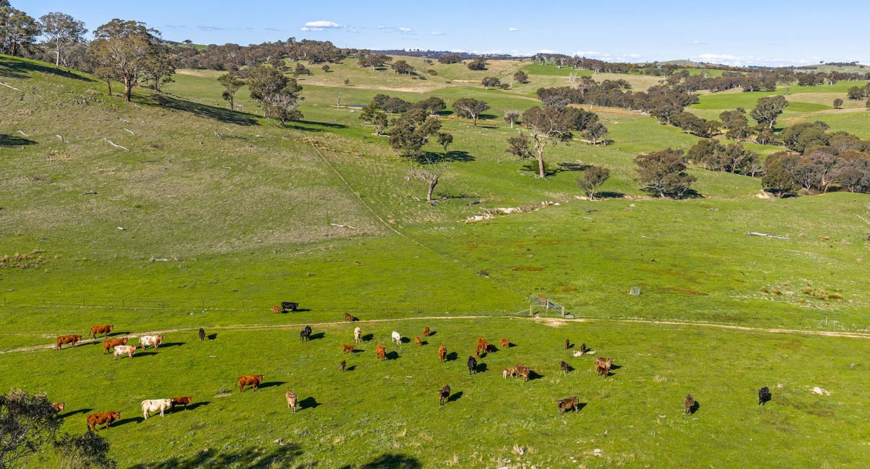 1432 Lachlan Valley Way, Laverstock, NSW, 2582 - Image 9