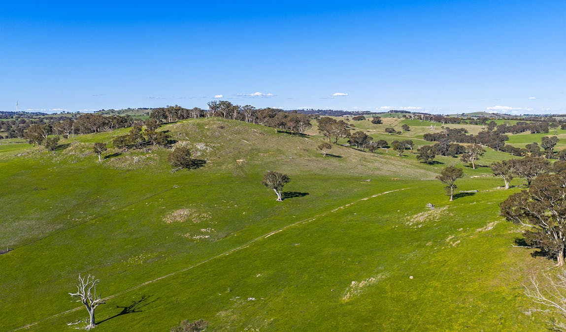 1432 Lachlan Valley Way, Laverstock, NSW, 2582 - Image 10