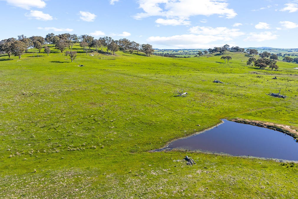 1432 Lachlan Valley Way, Laverstock, NSW, 2582 - Image 5