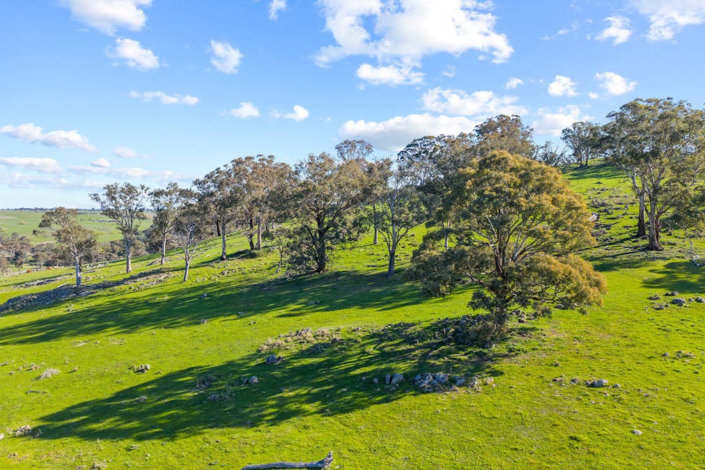 1432 Lachlan Valley Way, Laverstock, NSW, 2582 - Image 13