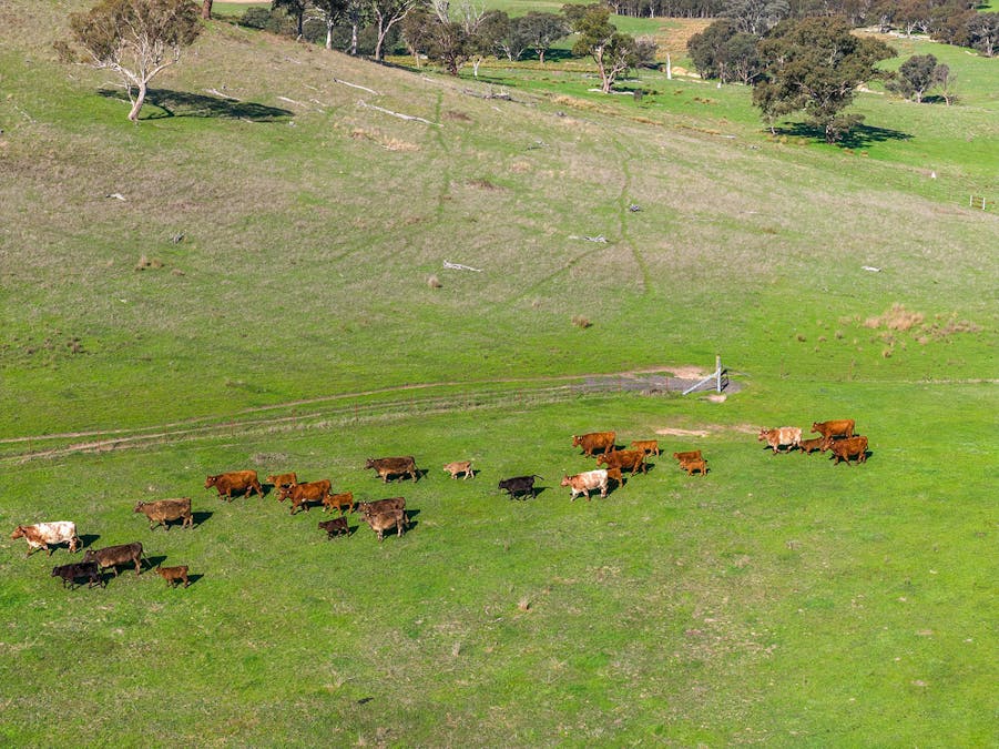 1432 Lachlan Valley Way, Laverstock, NSW, 2582 - Image 17