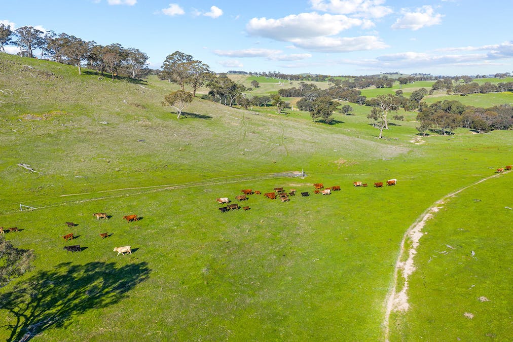 1432 Lachlan Valley Way, Laverstock, NSW, 2582 - Image 8