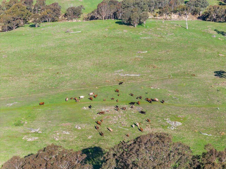 1432 Lachlan Valley Way, Laverstock, NSW, 2582 - Image 18