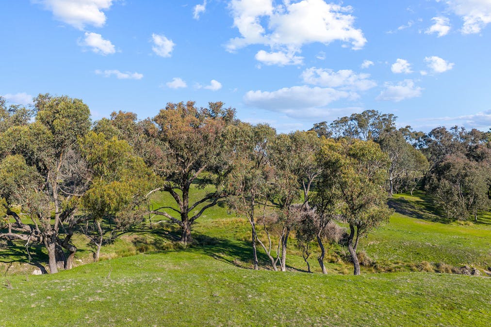1432 Lachlan Valley Way, Laverstock, NSW, 2582 - Image 20