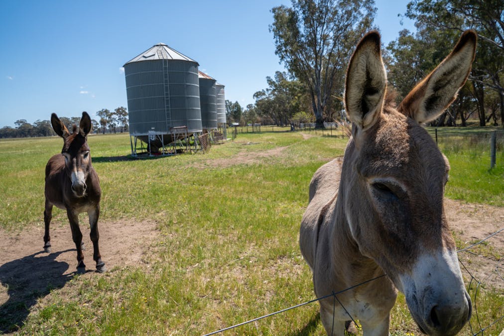 1473 Pranjip Road, Euroa, VIC, 3666 - Image 3