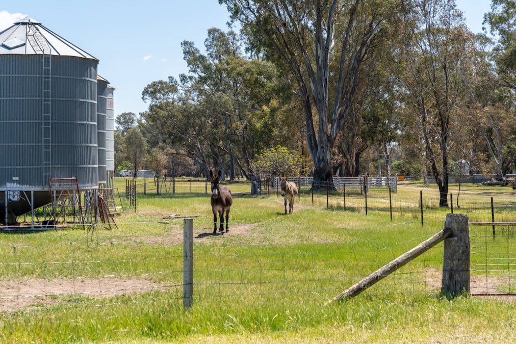 1473 Pranjip Road, Euroa, VIC, 3666 - Image 5