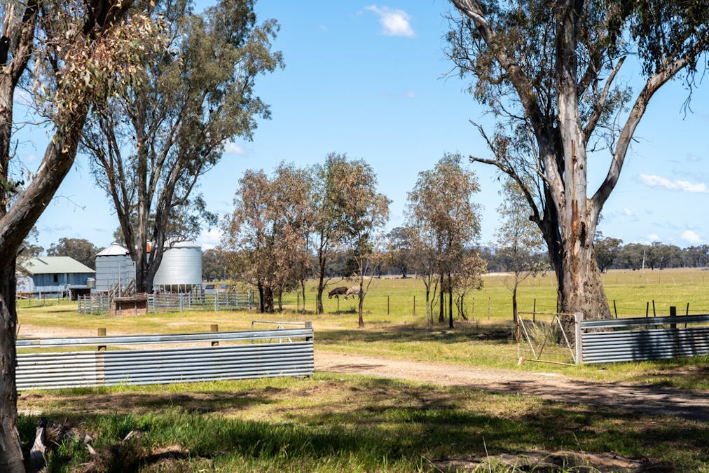 1473 Pranjip Road, Euroa, VIC, 3666 - Image 31