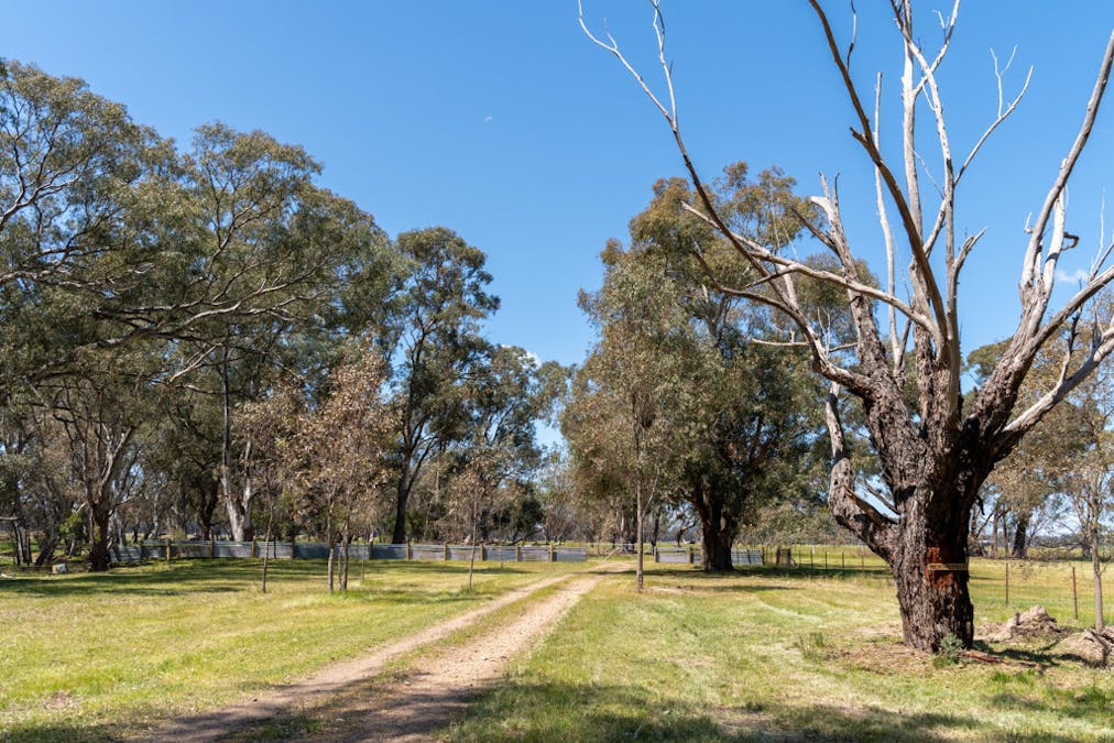1473 Pranjip Road, Euroa, VIC, 3666 - Image 33