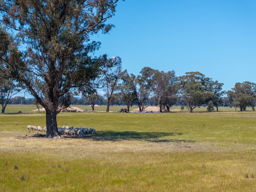 1473 Pranjip Road, Euroa, VIC, 3666 - Image 35