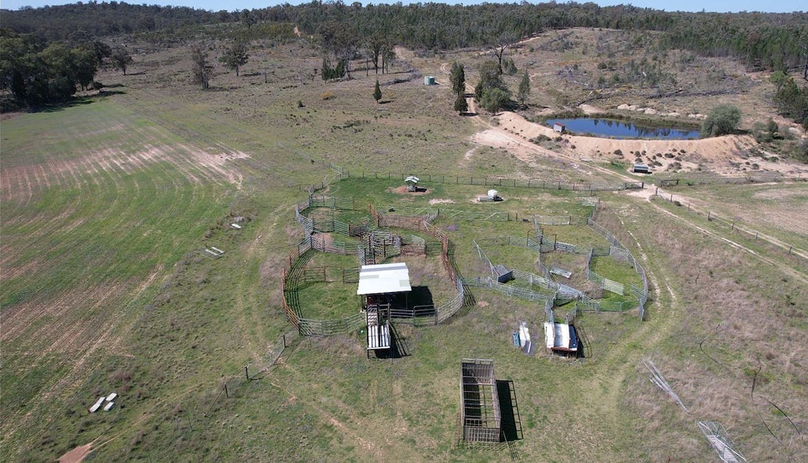 3094 Mosquito Creek Road, Mosquito Creek, QLD, 4387 - Image 2
