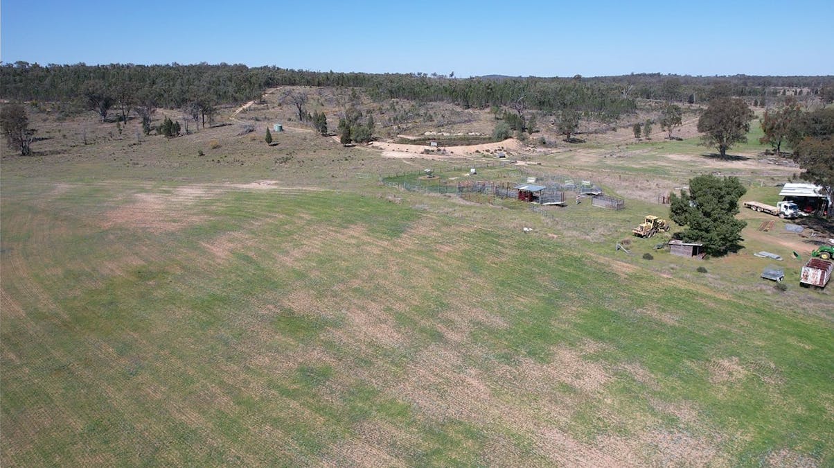 3094 Mosquito Creek Road, Mosquito Creek, QLD, 4387 - Image 6