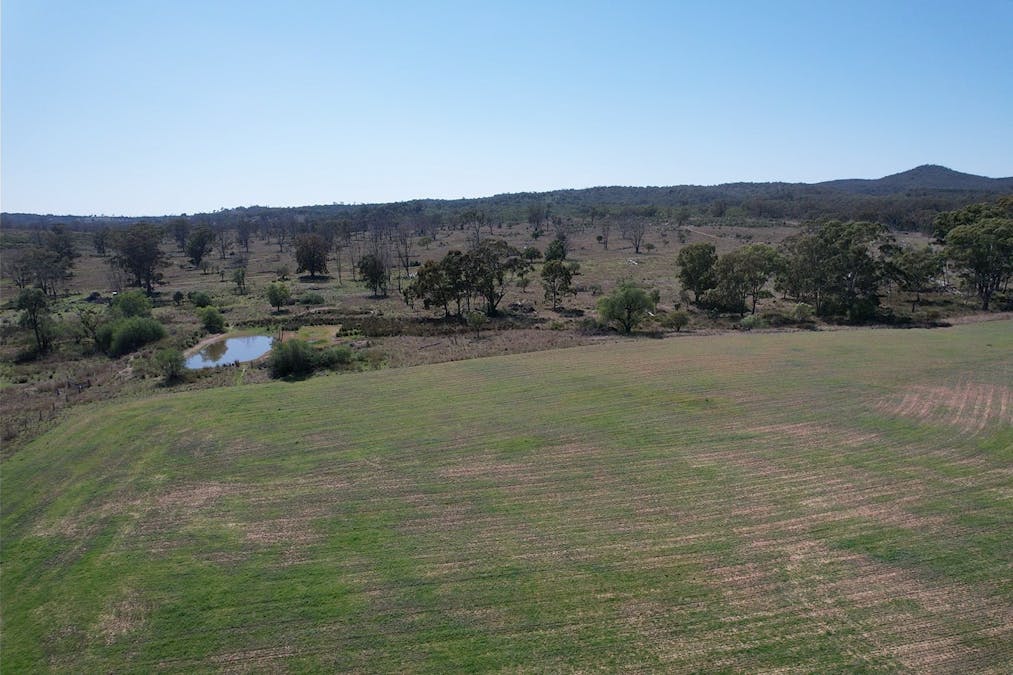 3094 Mosquito Creek Road, Mosquito Creek, QLD, 4387 - Image 7