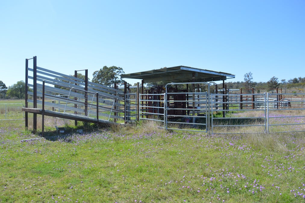 3094 Mosquito Creek Road, Mosquito Creek, QLD, 4387 - Image 10