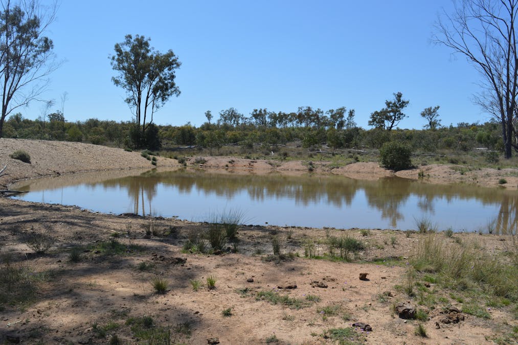 3094 Mosquito Creek Road, Mosquito Creek, QLD, 4387 - Image 13