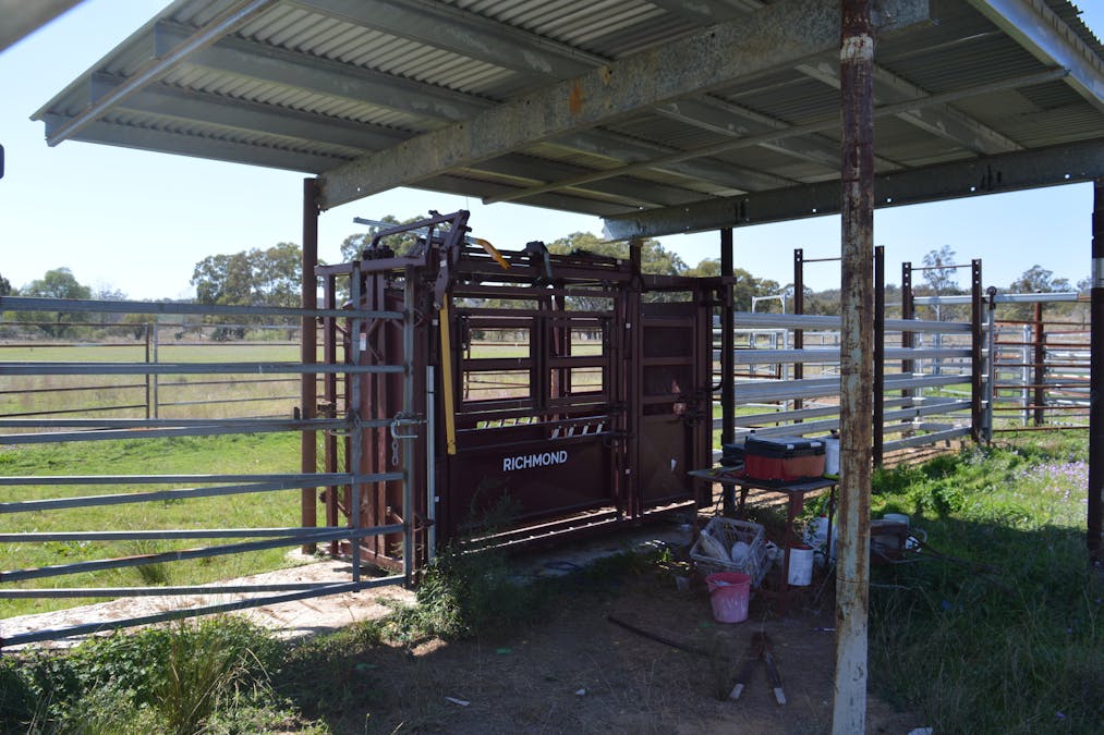 3094 Mosquito Creek Road, Mosquito Creek, QLD, 4387 - Image 11