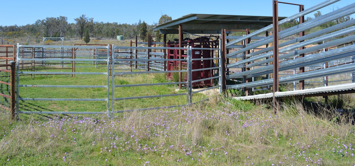 3094 Mosquito Creek Road, Mosquito Creek, QLD, 4387 - Image 12