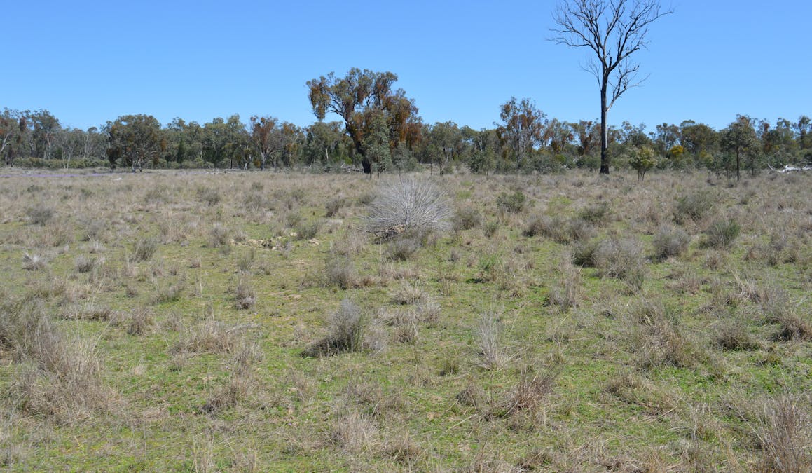 3094 Mosquito Creek Road, Mosquito Creek, QLD, 4387 - Image 16