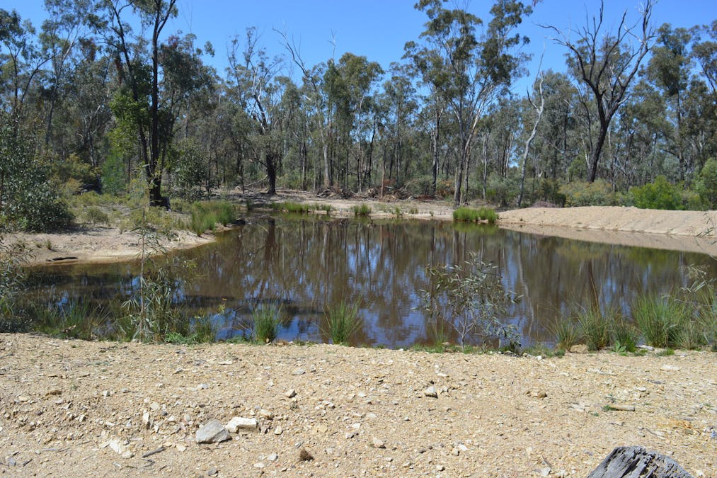 3094 Mosquito Creek Road, Mosquito Creek, QLD, 4387 - Image 17