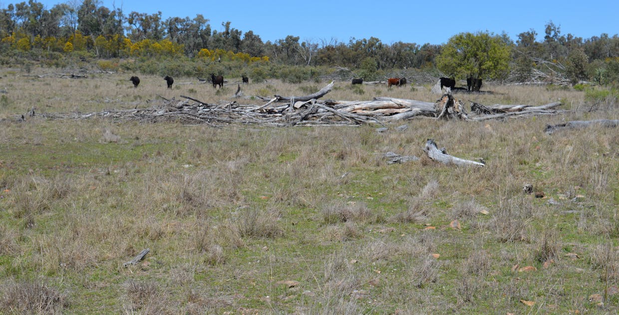 3094 Mosquito Creek Road, Mosquito Creek, QLD, 4387 - Image 18
