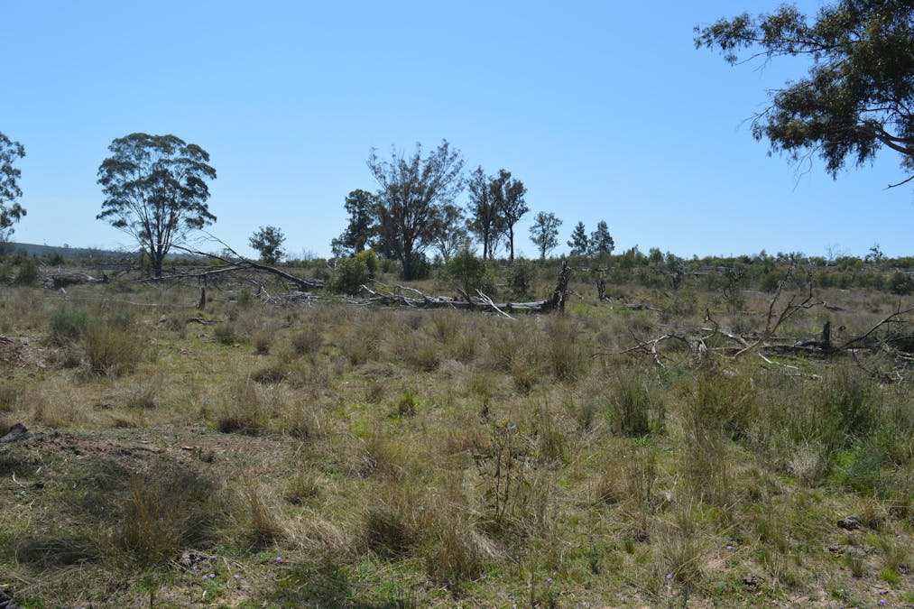 3094 Mosquito Creek Road, Mosquito Creek, QLD, 4387 - Image 19
