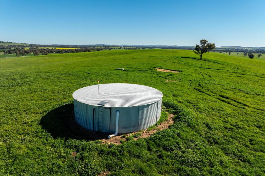 272 Bulloc Hill Road, Mangoplah, NSW, 2652 - Image 14