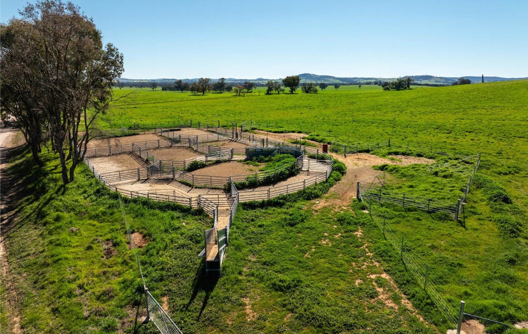 272 Bulloc Hill Road, Mangoplah, NSW, 2652 - Image 17