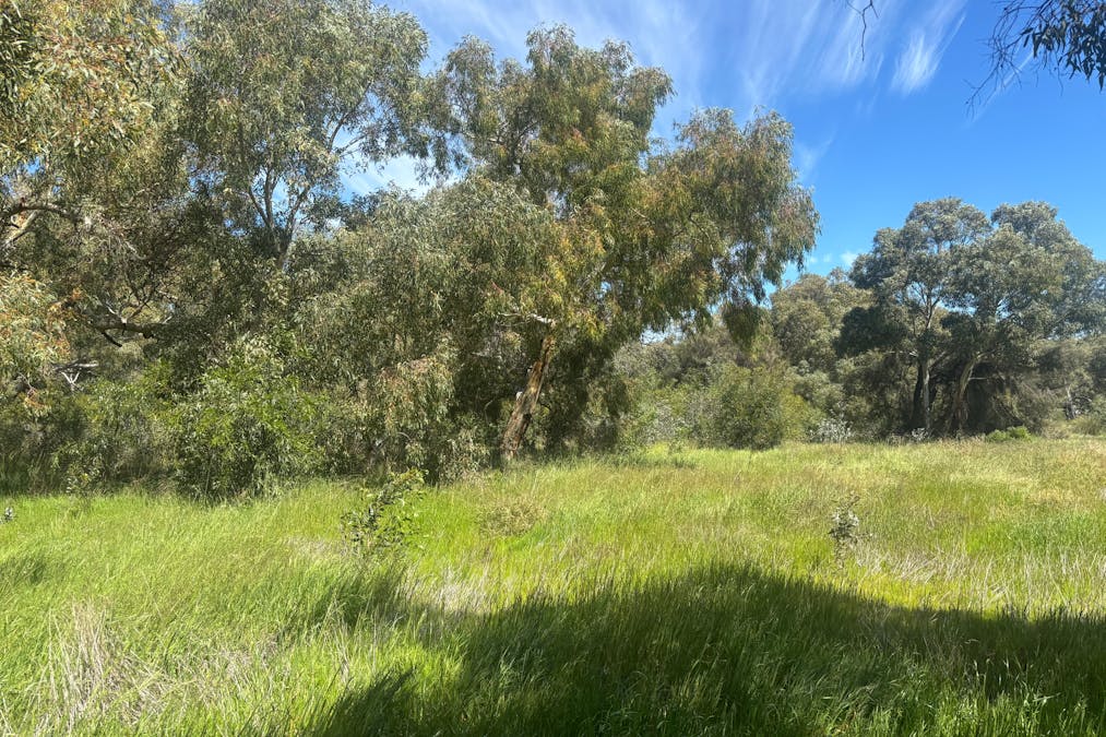 9500 Chapman Valley Road, Narra Tarra, WA, 6532 - Image 6