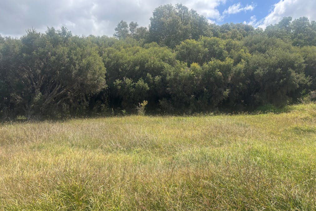 9500 Chapman Valley Road, Narra Tarra, WA, 6532 - Image 16
