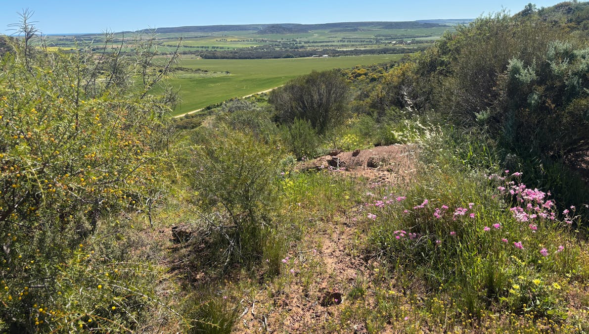 9500 Chapman Valley Road, Narra Tarra, WA, 6532 - Image 17